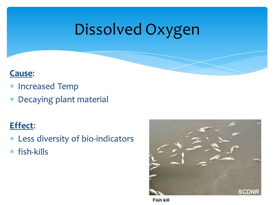 Dissolved oxygen to fish observed